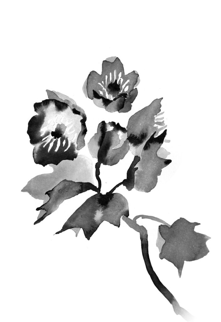 검은포플라 그림