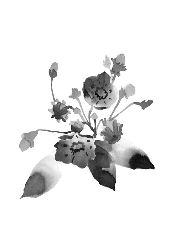 칼미아 그림