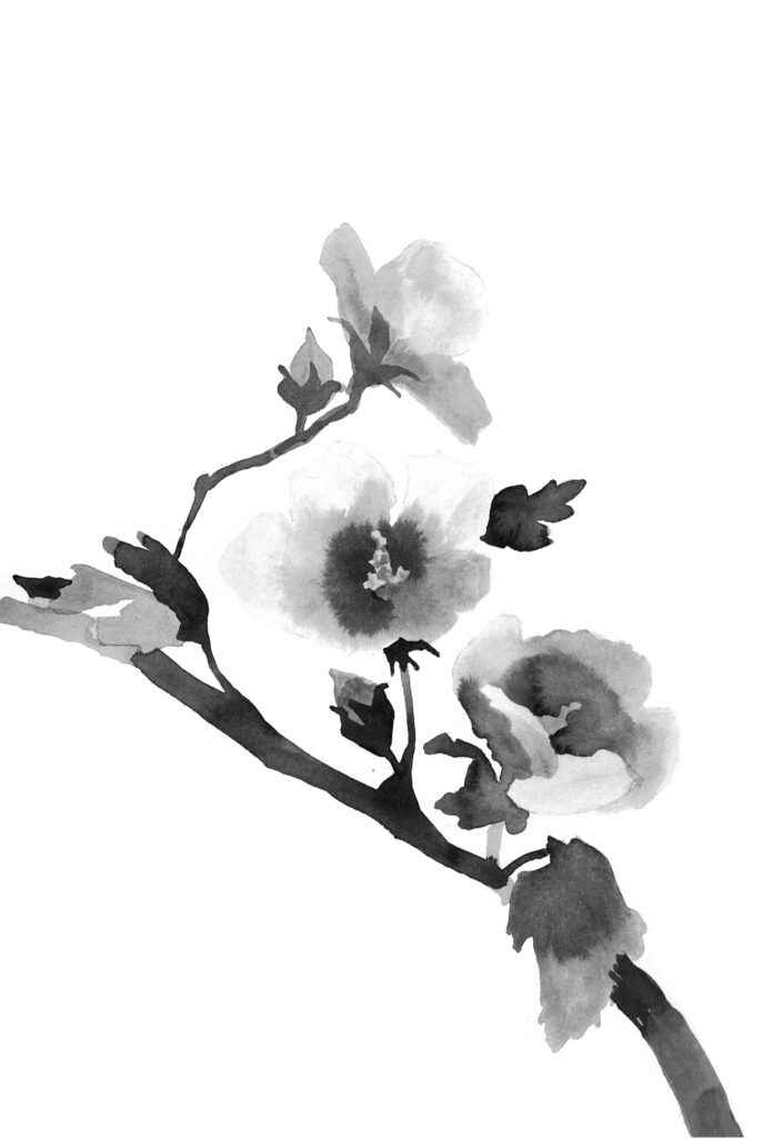 무궁화 그림