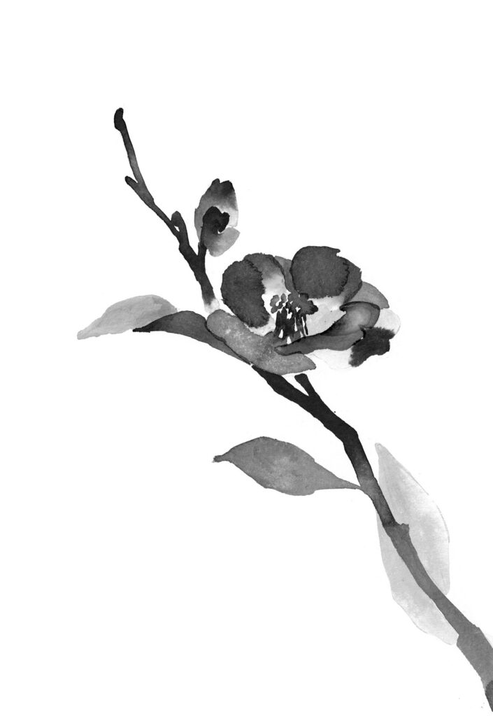 동백나무 그림