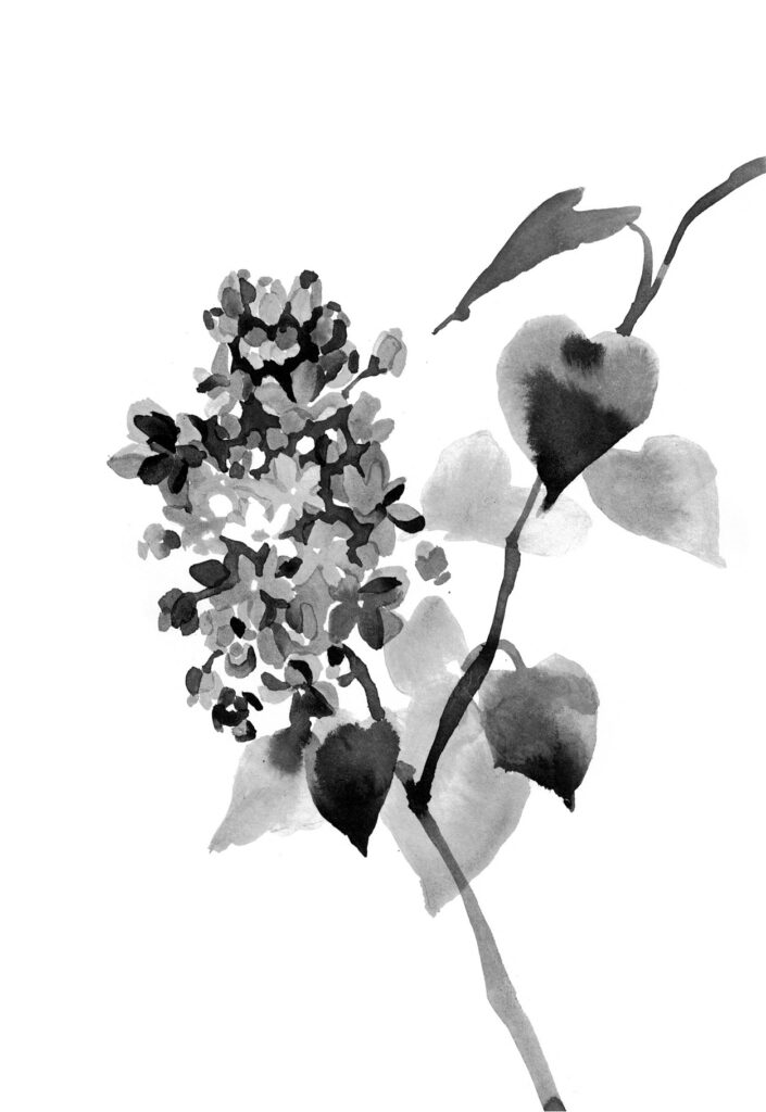 라일락 그림