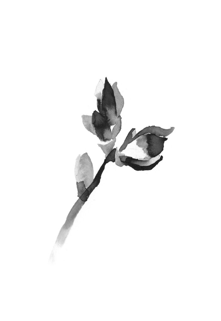 풀의싹 그림