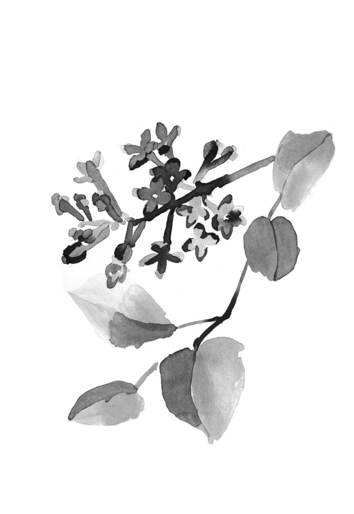 라일락 그림
