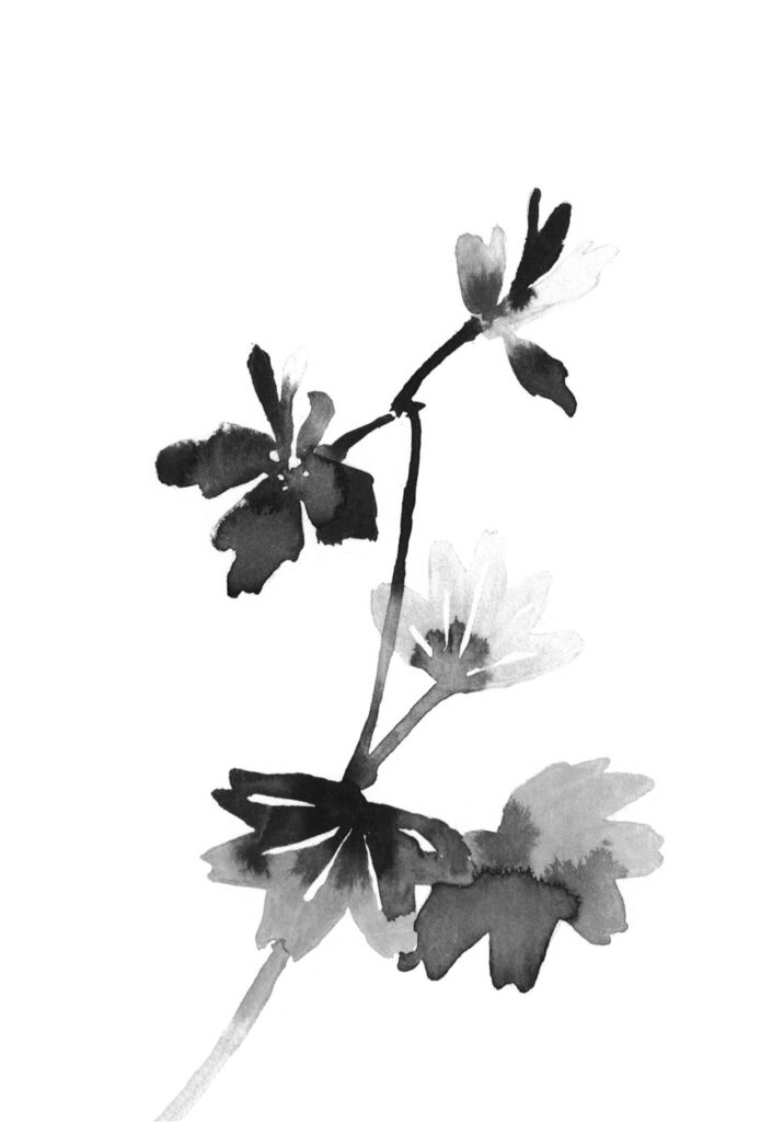 빨강제라늄 그림