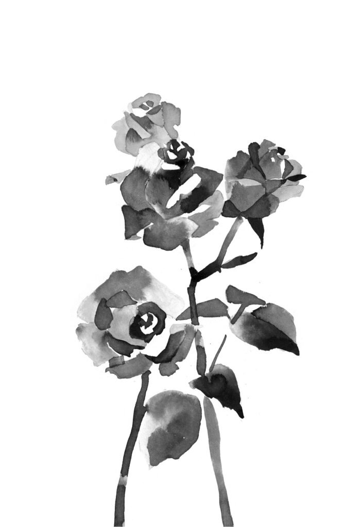노랑장미 그림