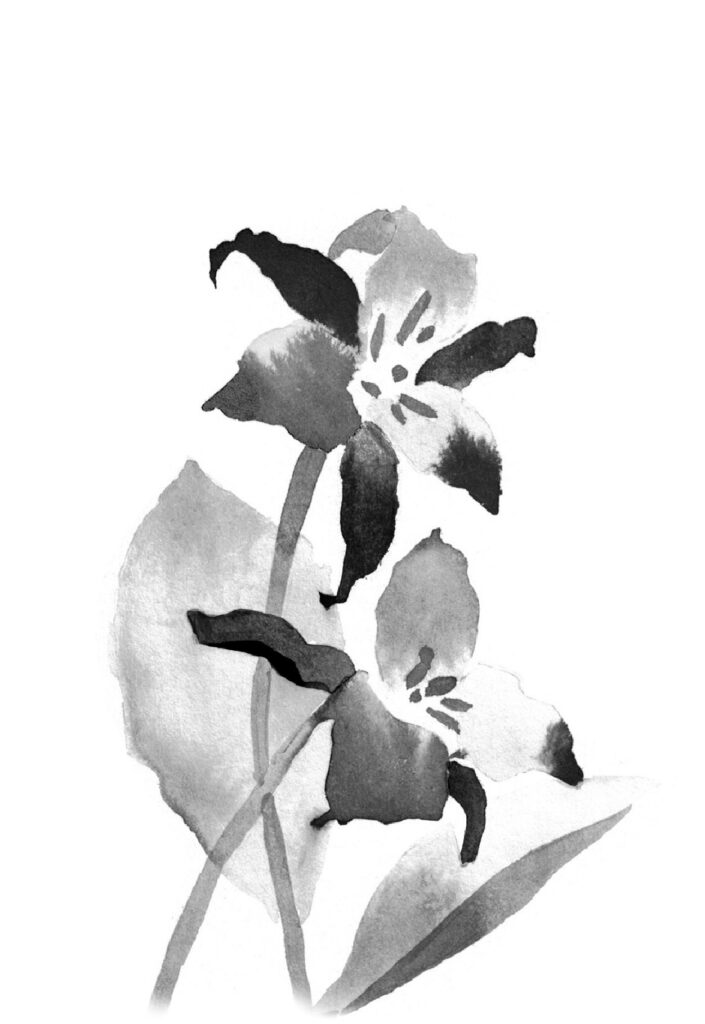연령초 그림
