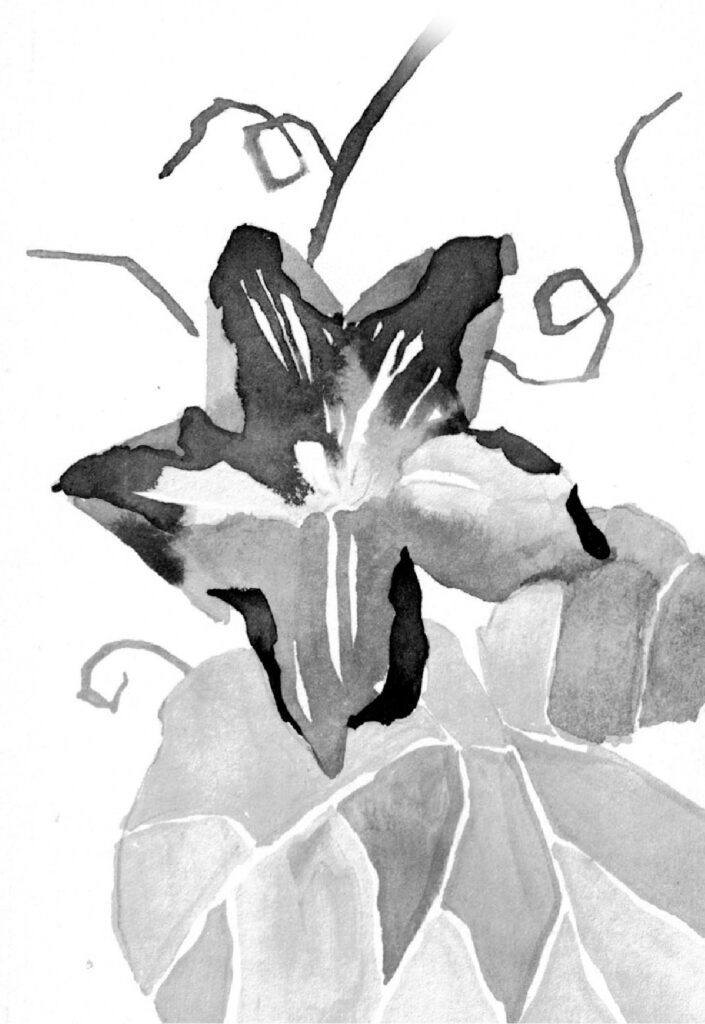 호박 그림