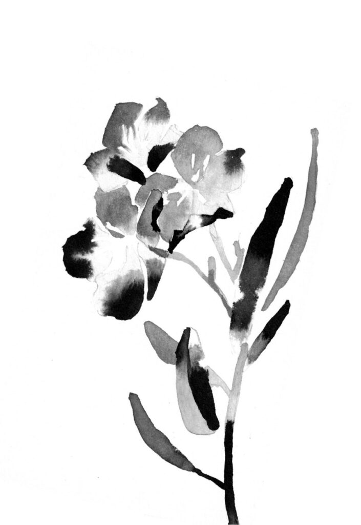 협죽도 그림