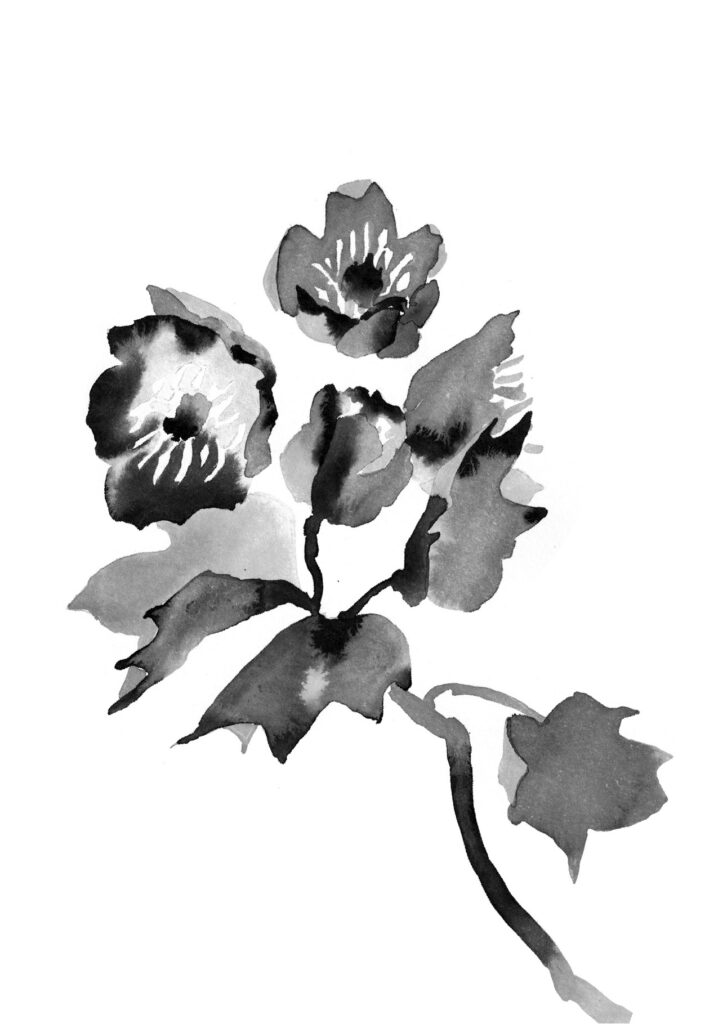 튤립나무 그림