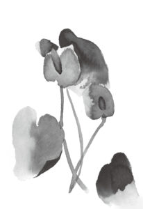안시륨
