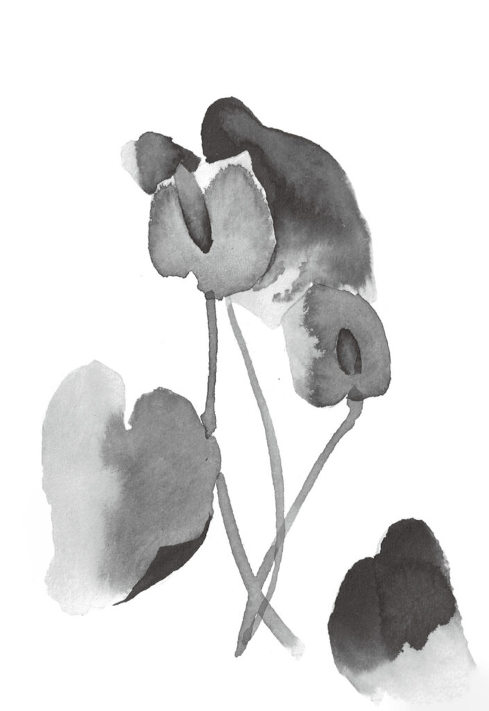 안시륨 그림