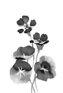 한련