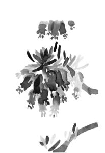 엘리카