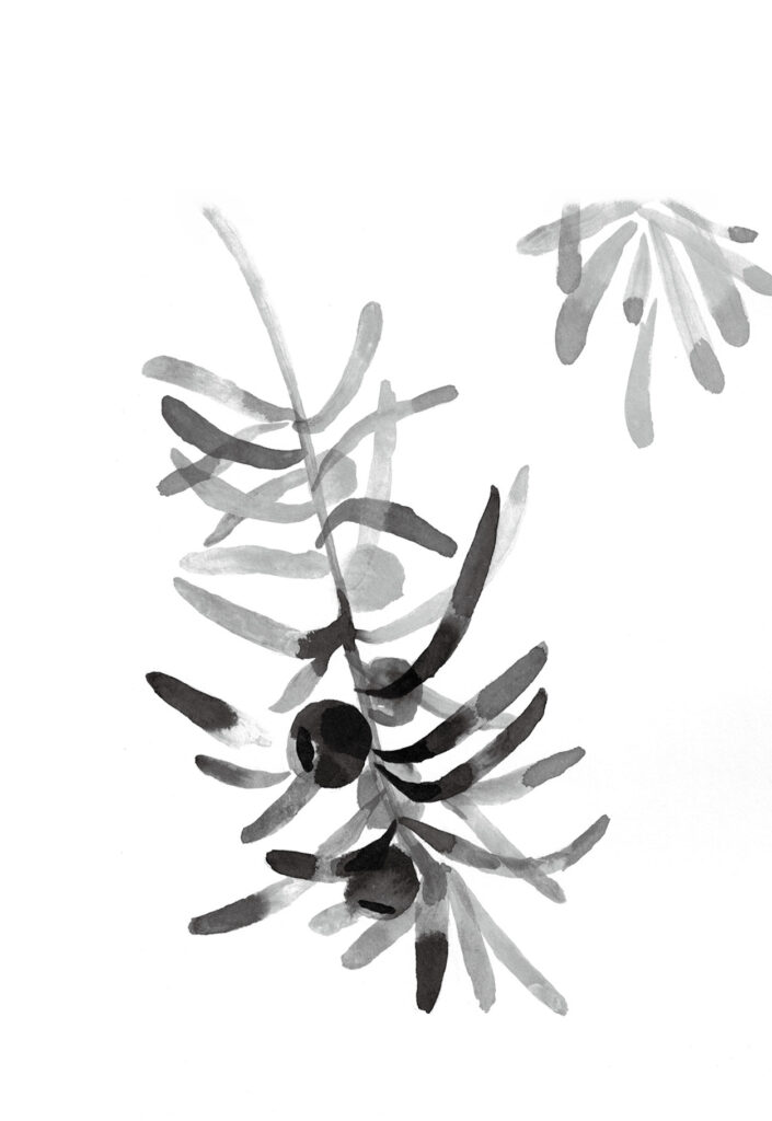 주목 그림