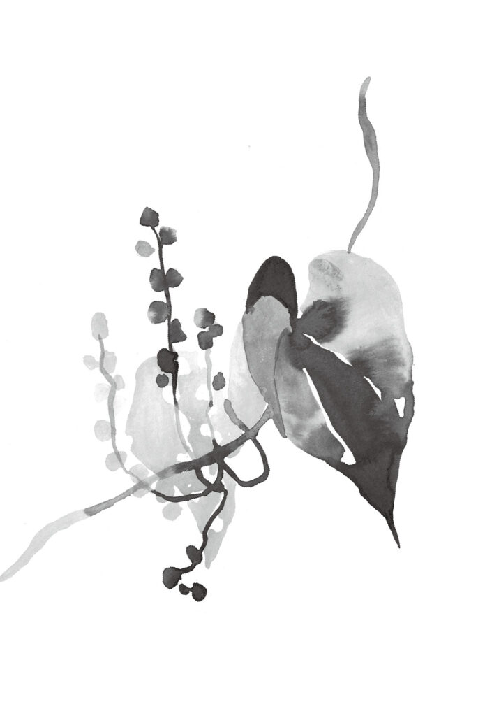 마 그림