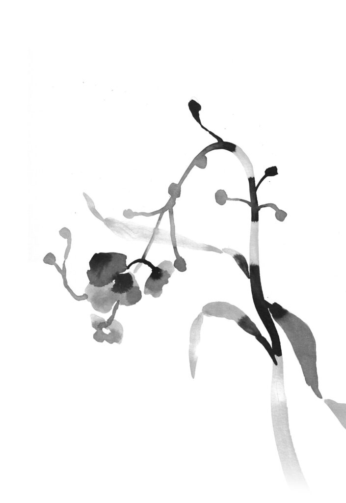 벗풀 그림