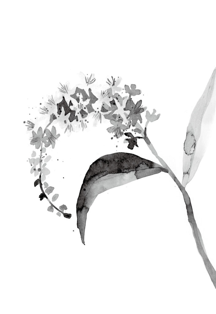 수영 그림