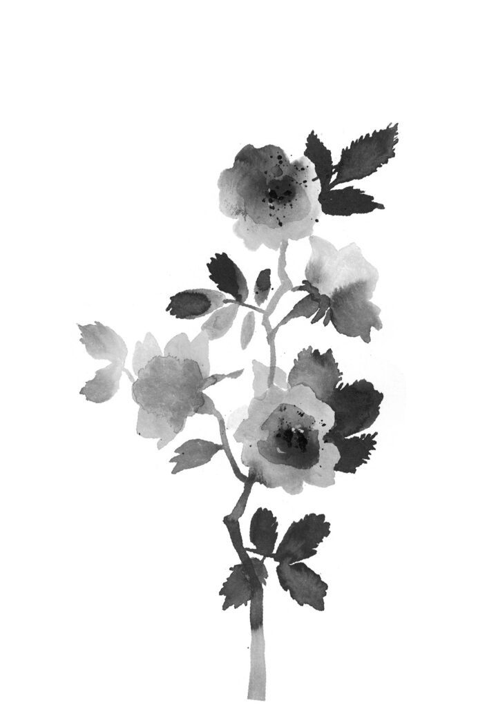들장미 그림