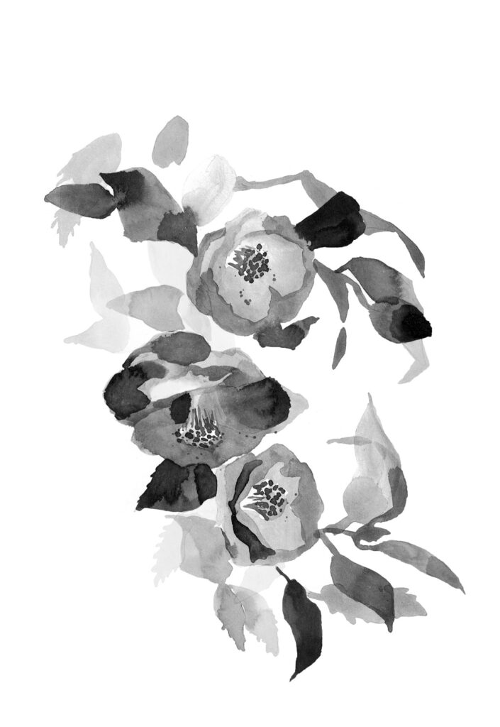 해당화 그림