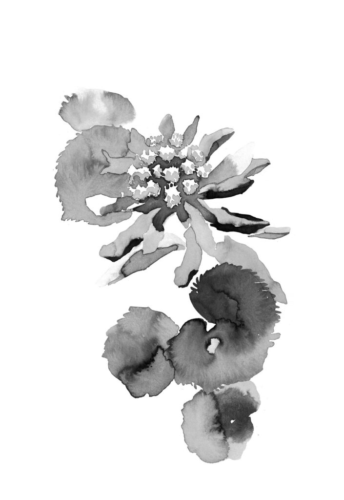 머위 그림