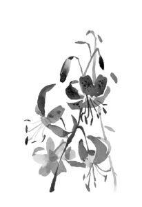 산나리