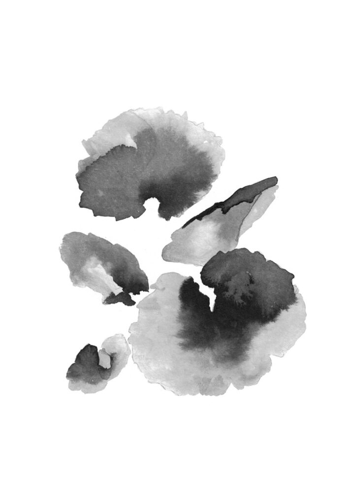바위취 그림