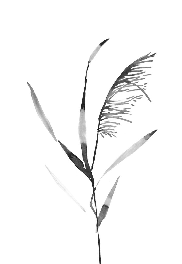갈대 그림