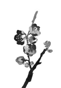매화
