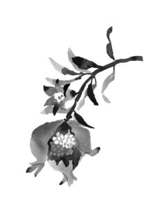 석류